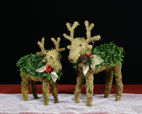 Reindeer Topariy for the Holiday Season